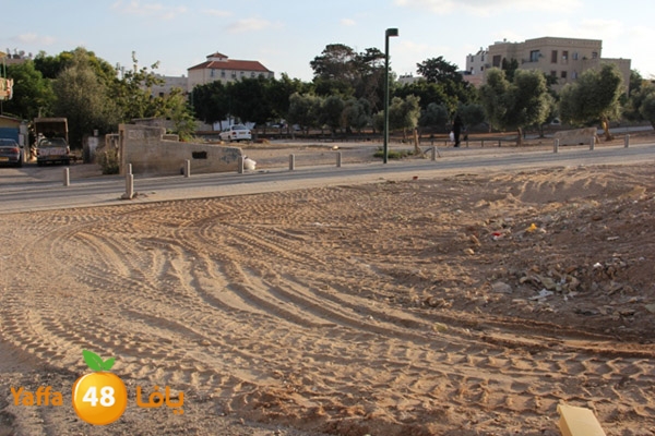 sakis family ard 826 (6).JPG